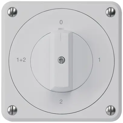 Interruttore rotativo INC robusto IP55 S1/1P grigio per combinazione 