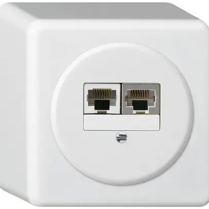 Scatola di raccordo AP basico 2×RJ45s+u separato bianco 