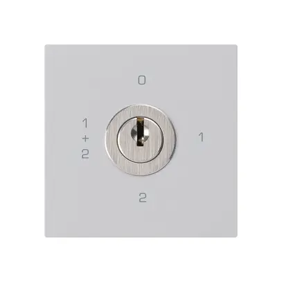 Intérieur interrupteur à clé kallysto 1/1L gris clair avec serrure Kaba 8 