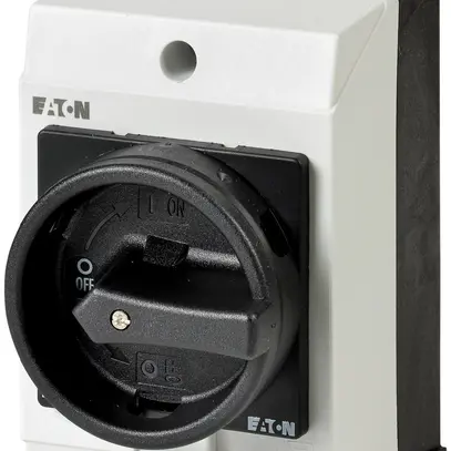Interruttore principale AP ETN 20A/2L 0-1 