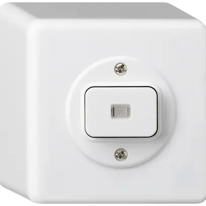 Interrupteur AP basico lumineux 3/2L blanc 