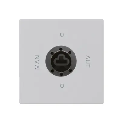 Intérieur interrupteur à clé 0-Man-0-Aut. kallysto 2/1L gris clair pour serrure 