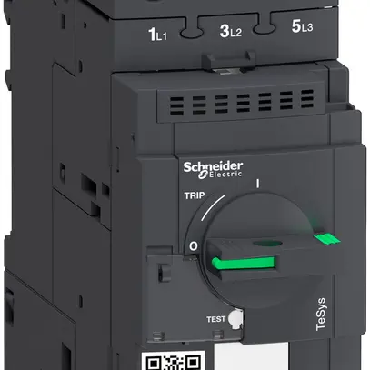 Salvamotore Schneider Electric GV3L25 25A 