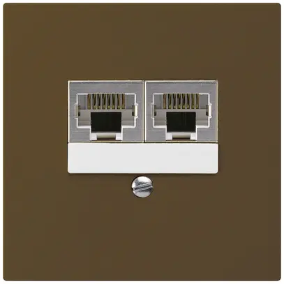 Boîte ENC kallysto 2×RJ45s brun parallèle 