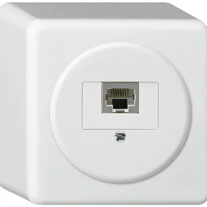 Boîte de raccordement AP basico 1×RJ45s blanc 