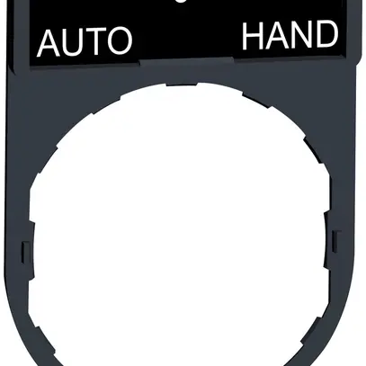 Placchetta Schneider Electric Auto-O-Hand 