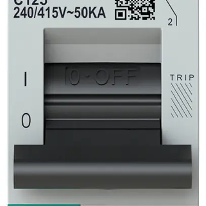 Disjoncteur ABB S801P-C125 1P 230V C-125A 50kA 1.5UM 