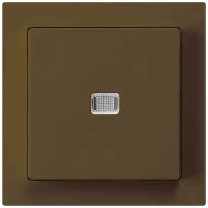UP-Leuchtschalter kallysto 6/1L braun 