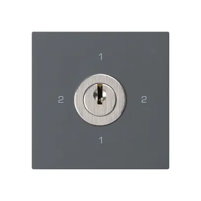 Intérieur interrupteur à clé kallysto 3/1L anthracite avec serrure Kaba 8 