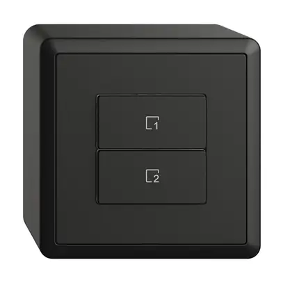 Poussoir scène AP 2 scènes vertical/2T WLAN Edue Wiser noir 