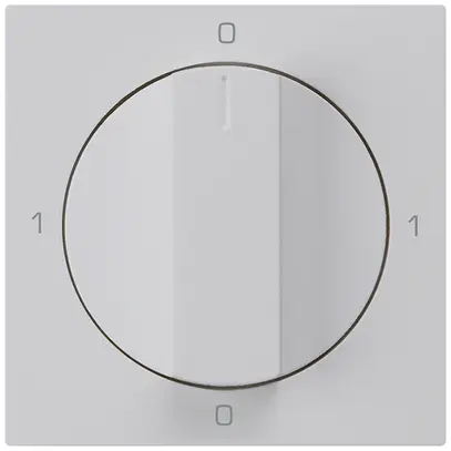 Inserto per interruttore rotativo kallysto 0/1L grigio chiaro con manopola 