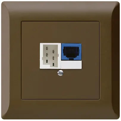 Boîte ENC DSL kallysto.line 1×RJ45/1×T+T brun 