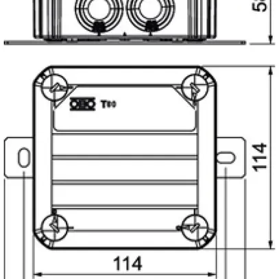 Boîte de dérivation Bettermann FireBox T60ED 06A E30…E90 114×114×57mm 5×6mm² 