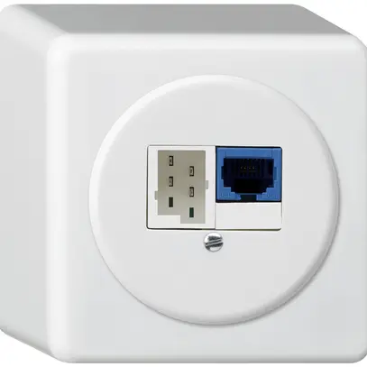 Scatola di raccordo AP DSL basico 1×RJ45/1×T+T bianco 