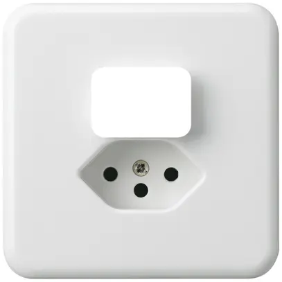 Plaque de recouvrement ENC basico comb I type 13 blanc 