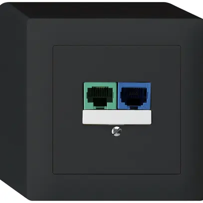 AP-Dose DSL kallysto 2×RJ45 schwarz 