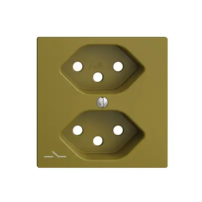 Placca frontale 2×T13,S EDIZIOdue olive 