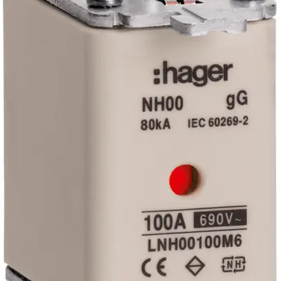 Fusibile HPC Hager DIN00 690VAC 100A gG/gL segnalatore doppio inossidabile 