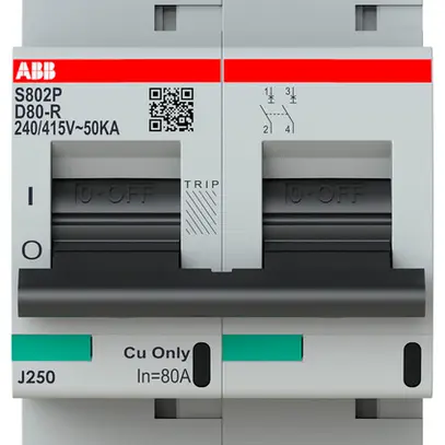Disjoncteur ABB S802P-D80-R 2P 400V D-80A 50kA 3UM 