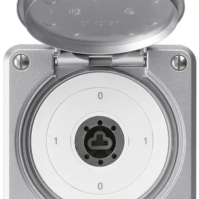 Interruttore a chiave INC robusto IP55 copertura senza cilindro S0/1P alluminio 