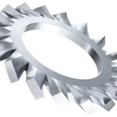 Rondella ventaglio M3 3.2×6.0×0.4mm DIN6798A zinc.bl 