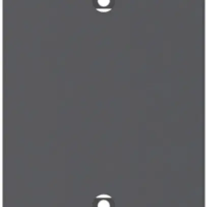 Plaque d'obturation pour Desk 2 prise multiple, noir 