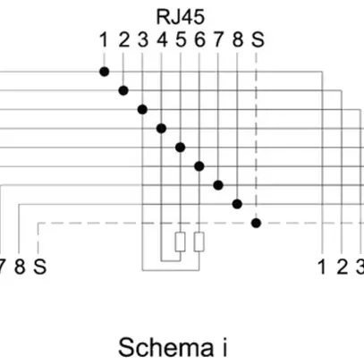 Adaptateur Y RJ45m/2×RJ45f STP, 2×100Ω, noir 