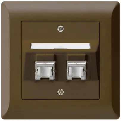 Prise ENC kallysto.line C cat.6 2RJ45/s brun 