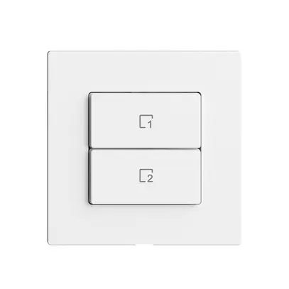 Commande pour poussoir scène 2 scènes vert./2T Edue Wiser blanc 