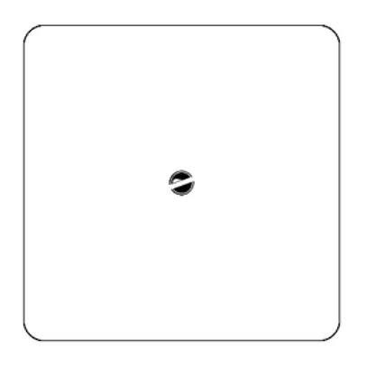 Plaque de recouvrement basico grd.III en isolant blanc sans gravure 