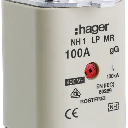 Fusibile HPC Hager DIN1 400VAC 100A gG/gL segnalatore centrale inossidabile 