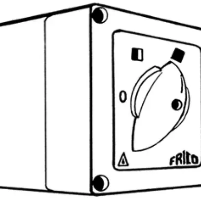 Regolatore di velocità Frico EV300 