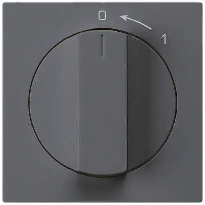 Contatto rotativo 0<1/1L antracite kallysto con manopola 