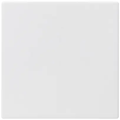 Bottone grande kallysto bianco semplice per interruttore S3/6+tasto 