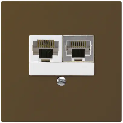 Scatola INC kallysto 2×RJ45s+u separato marrone 