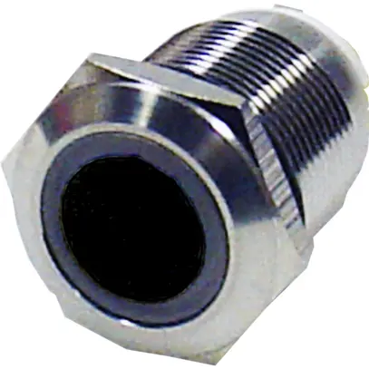 Tasto IR BSW 12/24VDC LED bl/ve 