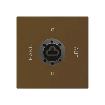 Intérieur interrupteur à clé 0-Hand-0-Aut. brun kallysto 2/1P pour serrure 