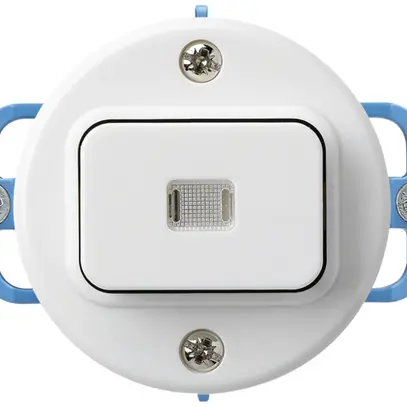 Inserto per pulsante luminoso INC basico c/1L bianco 