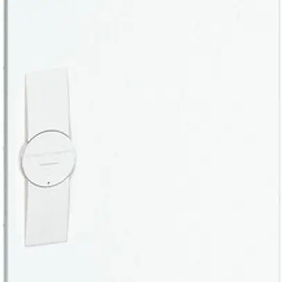 Porte droite Hager univers pour armoire murale FP81 1250×300mm 