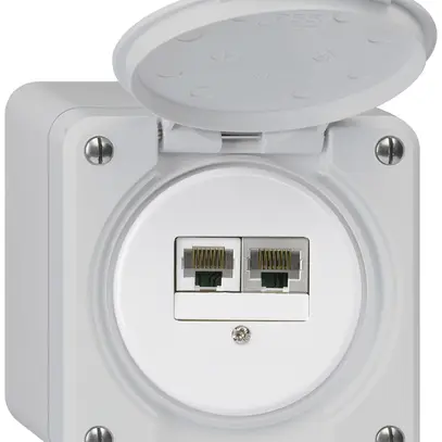 Boîte de raccordement AP robusto IP55 gris 1×RJ45/s 1×RJ45/u séparés 