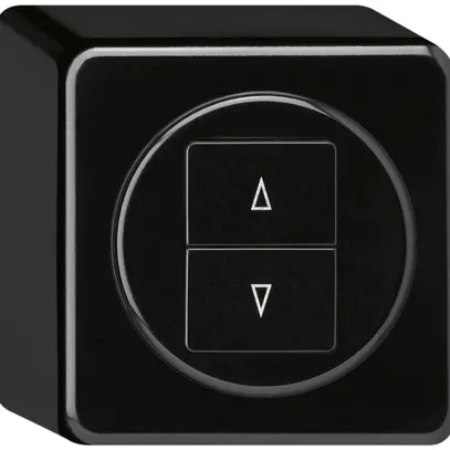 Interrupteur pour stores AP basico noir avec 2 touches bornes enf. 