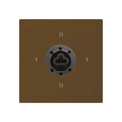 Intérieur interrupteur à clé kallysto 0/1L brun p.serrure de sûreté s.cylindre 