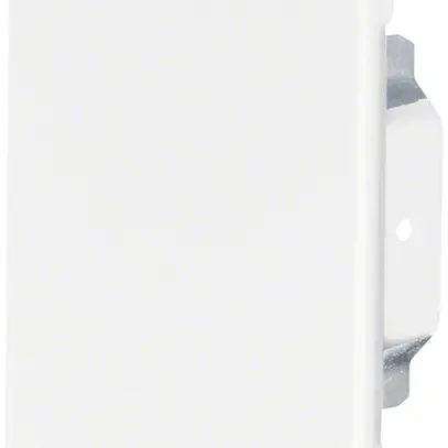 Paistra terminale tehalit BRS 100170, bianco traffico 