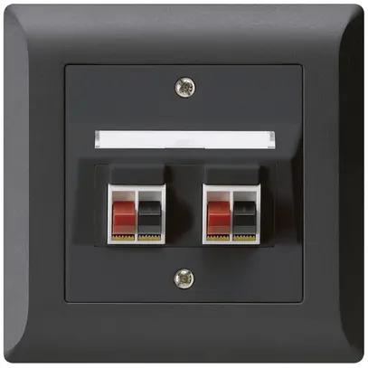 Prise ENC audio kallysto.line 2× noir borne à étrier pour 2 haut-parleurs 