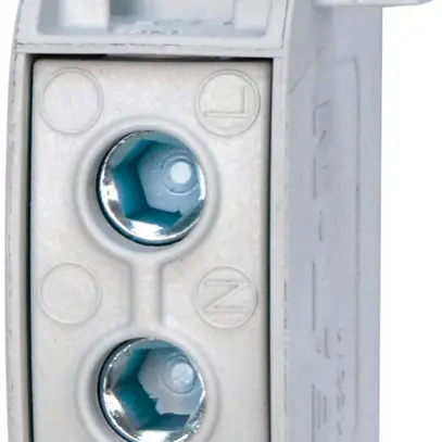 Morsetto ETN 100A 