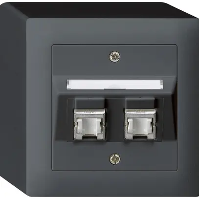 AP-Dose kallysto Kat.6 2RJ45/s anthrazit 