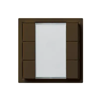 UP-Universaltaster 6×kallysto A mit LED braun 