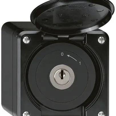 Contact pivotant à clé AP robusto IP55 noir avec clapet 2P 