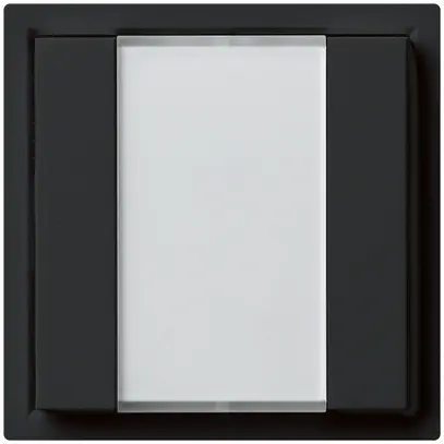 Pulsante multifunzionale INC KNX kallysto doppio nero 