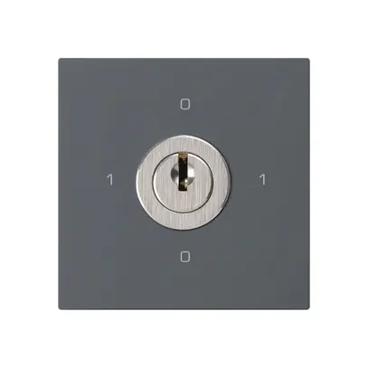 Einsatz zu Schlüsselschalter kallysto 0/2L anthrazit mit Schloss Kaba 8 